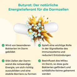 Butyzol Mikroverkapseltes Natriumbutyrat|apriwell New
