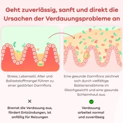 Darmkulturen-Komplex><noscript><img width=