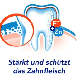 aronal Zahnfleischschutz Zahnpasta| Sale