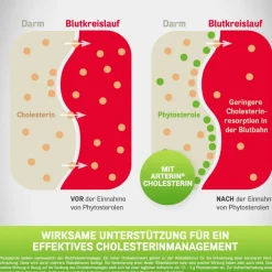 Arterin® Cholesterin Tabletten| Best