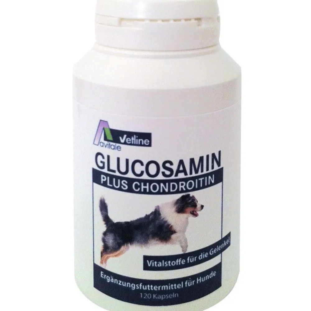 vetline Glucosamin + Chondroitin für Hunde, Vitalstoffe für die Gelenke>Avitale Outlet