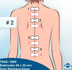 ® selbstklebende Elektrodenpads 6.5 x 3 cm – passend zu , Prorelax, Promed, etc.|axion Sale