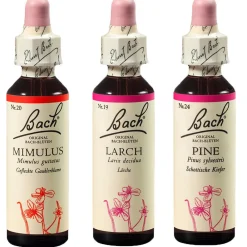 BACH®-BLÜTEN Angsthelfer Set>