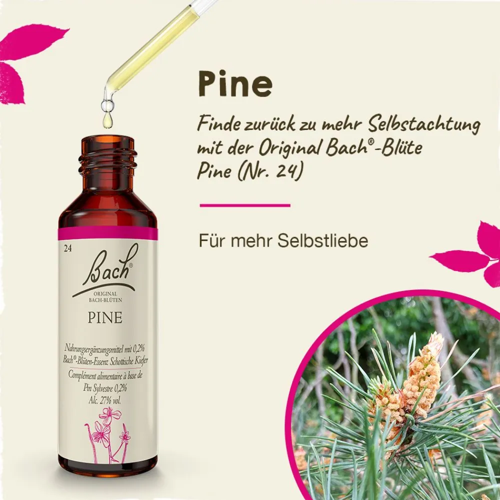 BACH®-BLÜTEN Angsthelfer Set>