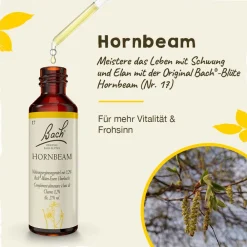 BACH®-BLÜTEN Frühlingserwachen Set| Clearance