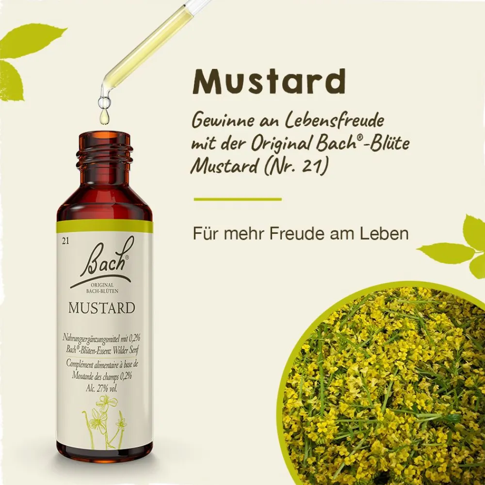 BACH®-BLÜTEN Frühlingserwachen Set| Clearance