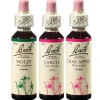 BACH®-BLÜTEN Innere Balance Set> Clearance