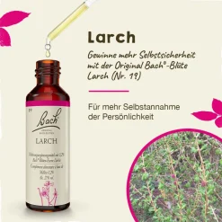 BACH®-BLÜTEN Innere Balance Set><noscript><img width=