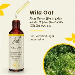 BACH®-BLÜTEN Innere Stärke Set| Hot
