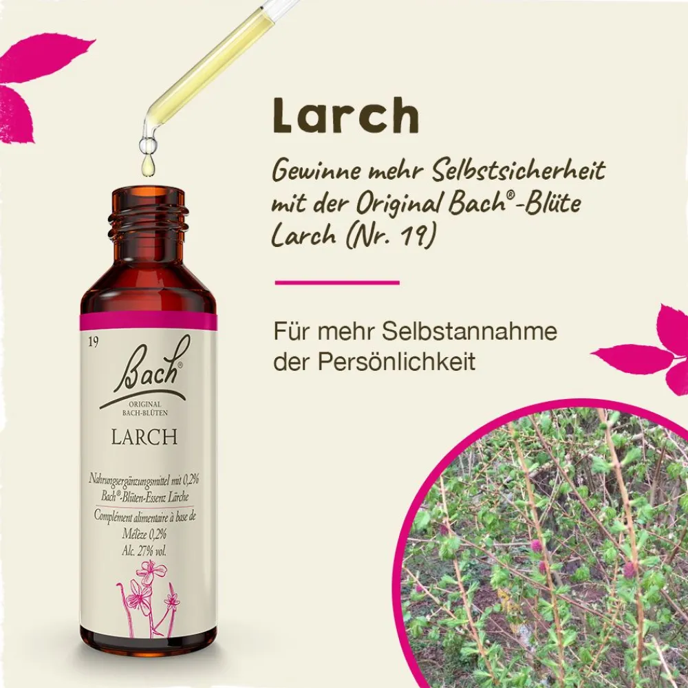 BACH®-BLÜTEN Innere Stärke Set| Hot