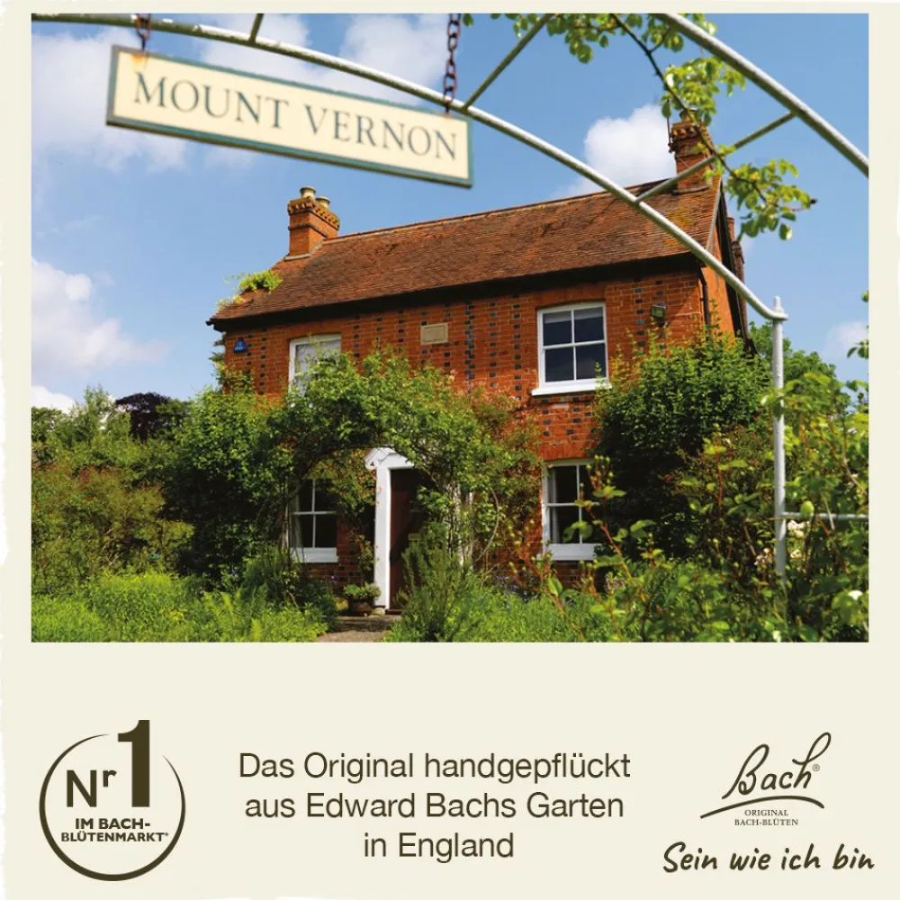 BACH®-BLÜTEN Innere Stärke Set| Hot