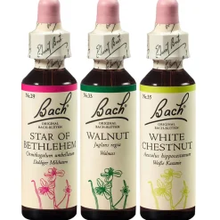 BACH®-BLÜTEN Winterblues Set| Discount