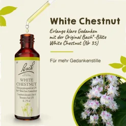 BACH®-BLÜTEN Winterblues Set| Discount