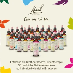 BACH®-BLÜTEN Winterblues Set| Discount