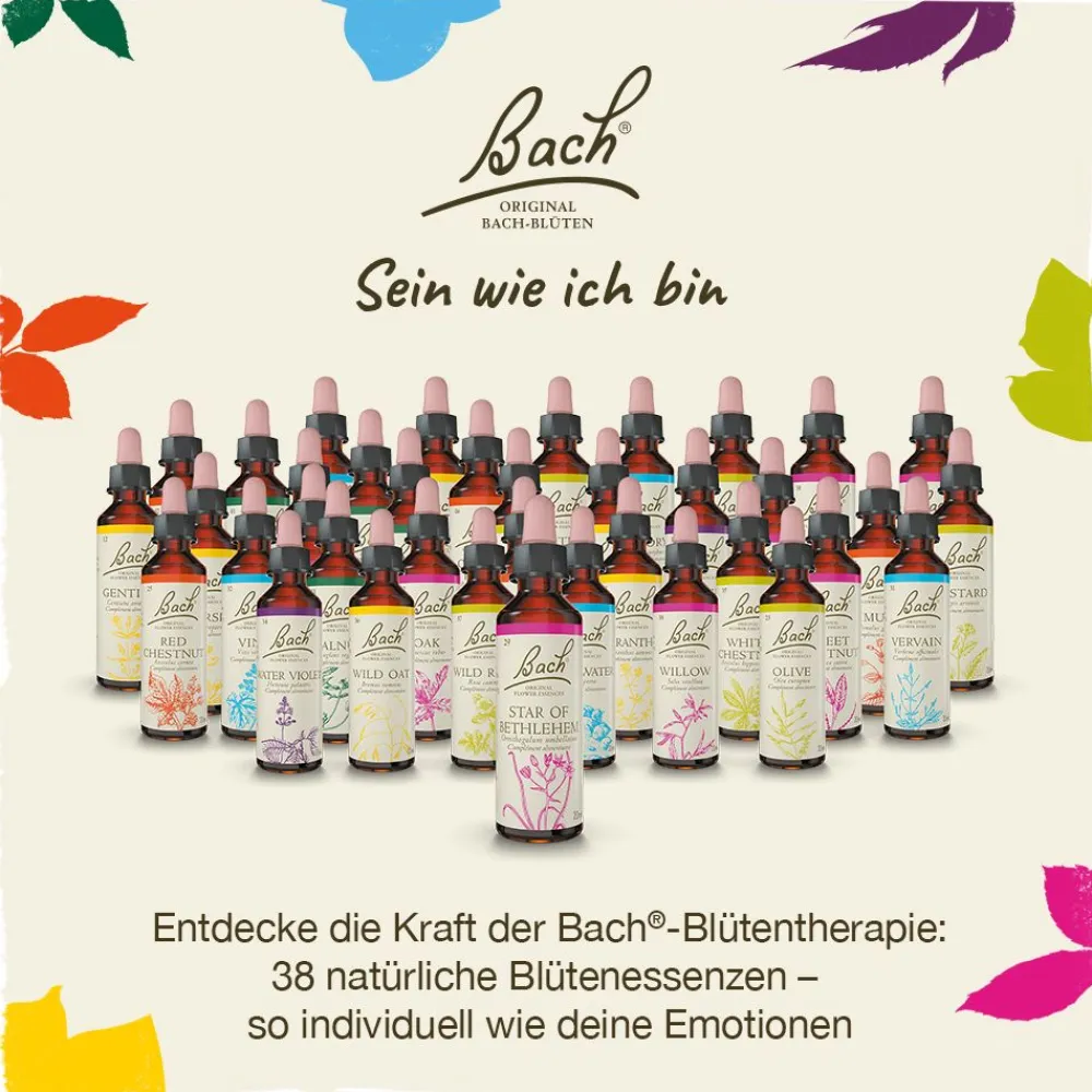 BACH®-BLÜTEN Winterblues Set| Discount