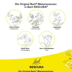 Bach Original RESCURA® Pastillen schwarze Johannisbeere><noscript><img width=