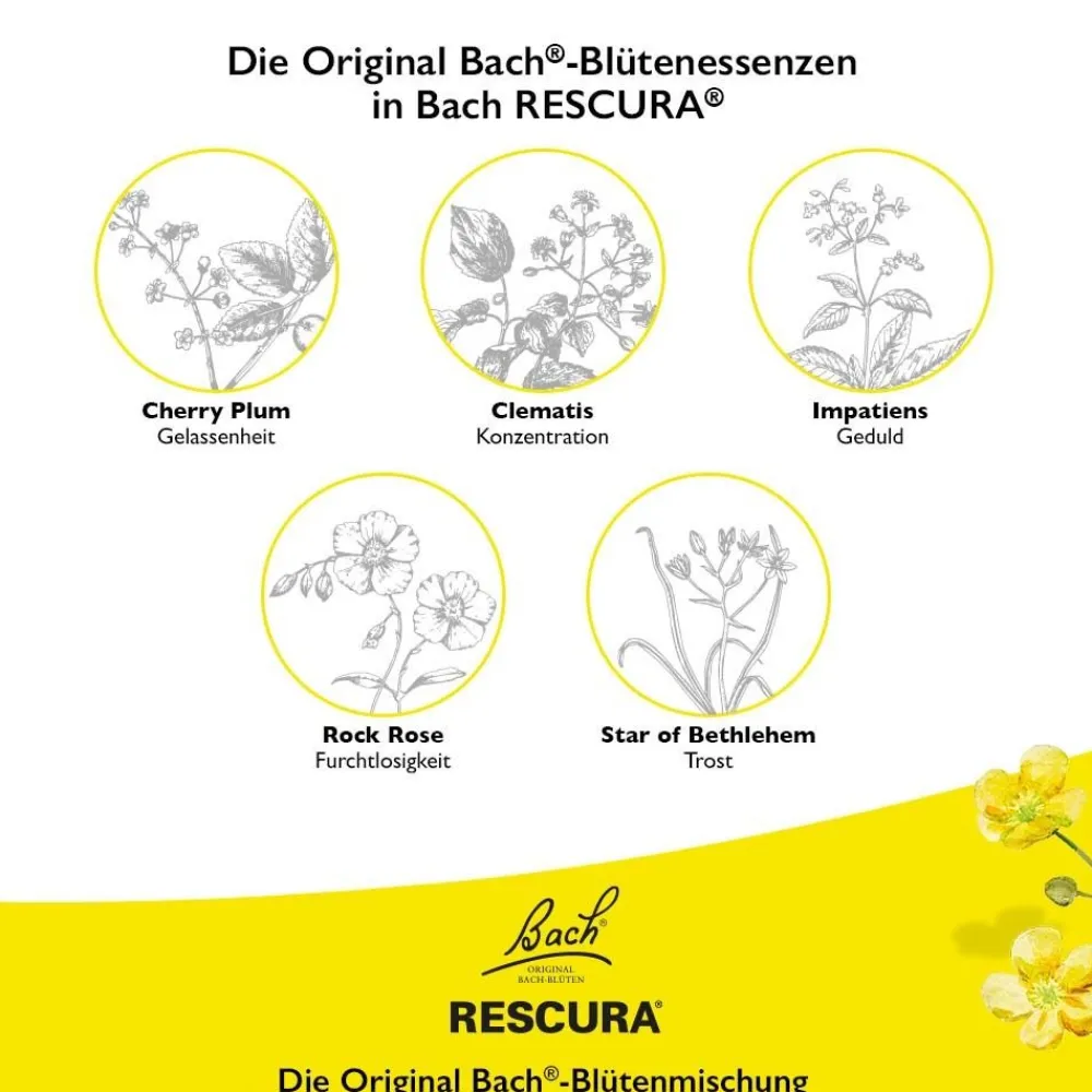 Bach® RESCURA™ Original Tropfen alkoholfrei>