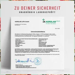 Baldrian Eisen Vitamin B9 B12 Yamswurzel Komplex 90 vegane Kapseln Wechselwunder ®><noscript><img width=