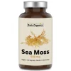 Basis Organics® Sea Moss Kapseln aus der Alge Irish Moss> Hot