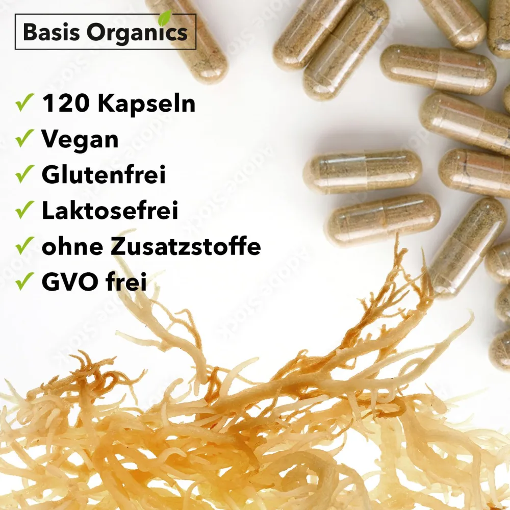 Basis Organics® Sea Moss Kapseln aus der Alge Irish Moss> Hot