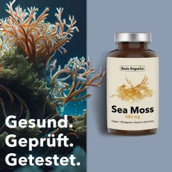 Basis Organics® Sea Moss Kapseln aus der Alge Irish Moss><noscript><img width=