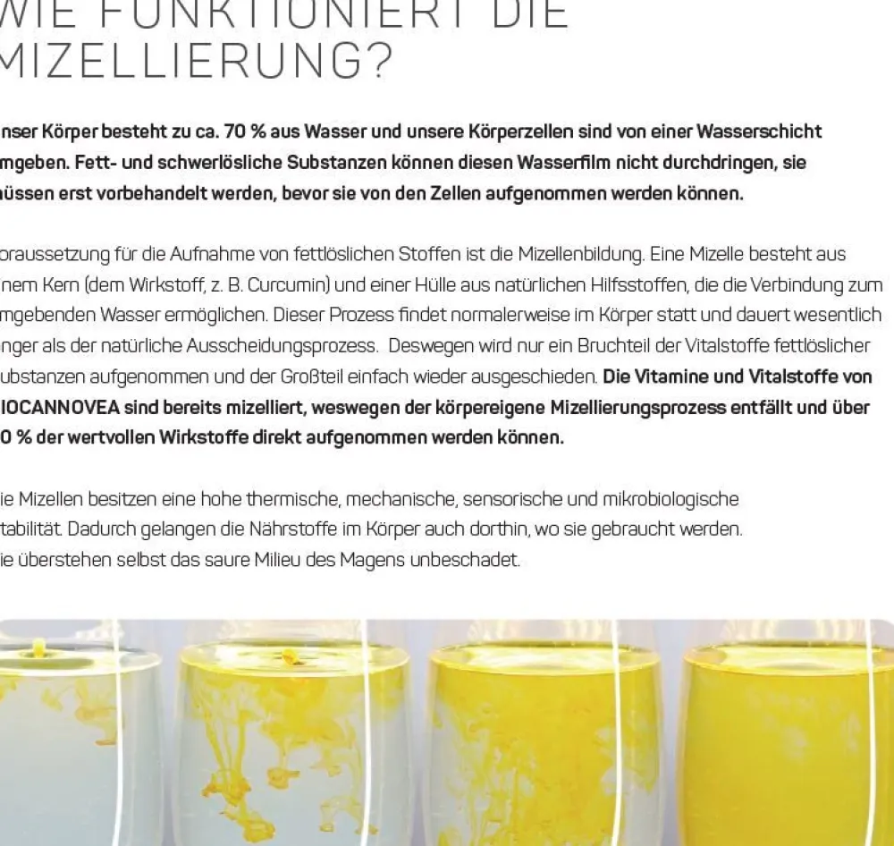 Vitamin D3+K2 wasserlöslich|BIOCANNOVEA Outlet