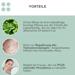 Bio Grüne Minze Tee|CARI NUTRITION Sale