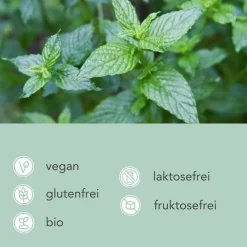 Bio Grüne Minze Tee|CARI NUTRITION Sale