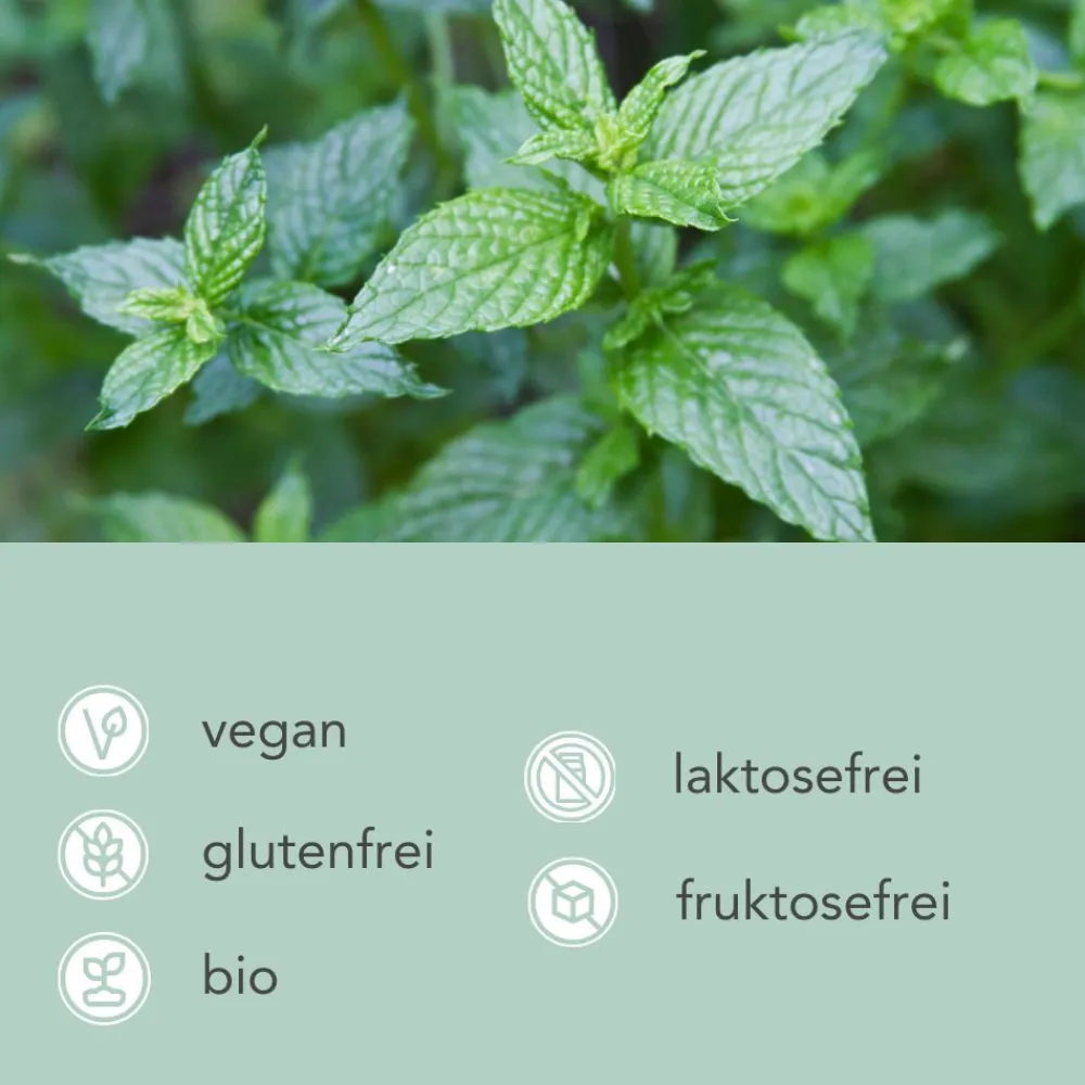 Bio Grüne Minze Tee|CARI NUTRITION Sale