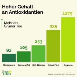 Bio Guayusa Energy Tee mit natürlichem Koffein von Green Coffein| Outlet