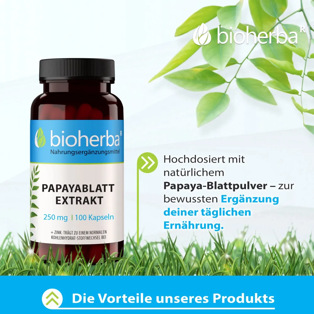 Bioherba Papayablatt Extrakt Kapseln|