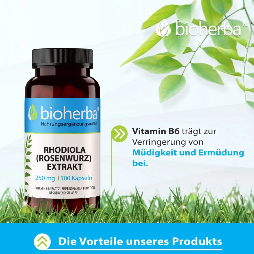 Bioherba Rhodiola (Rosenwurz) Extrakt Kapseln| Online