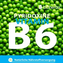 Bioherba Rhodiola (Rosenwurz) Extrakt Kapseln| Online