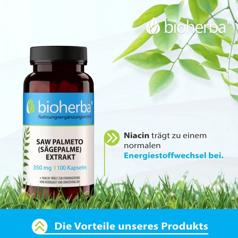 Bioherba Saw Palmeto (Sägepalme) Extrakt Kapseln> Hot