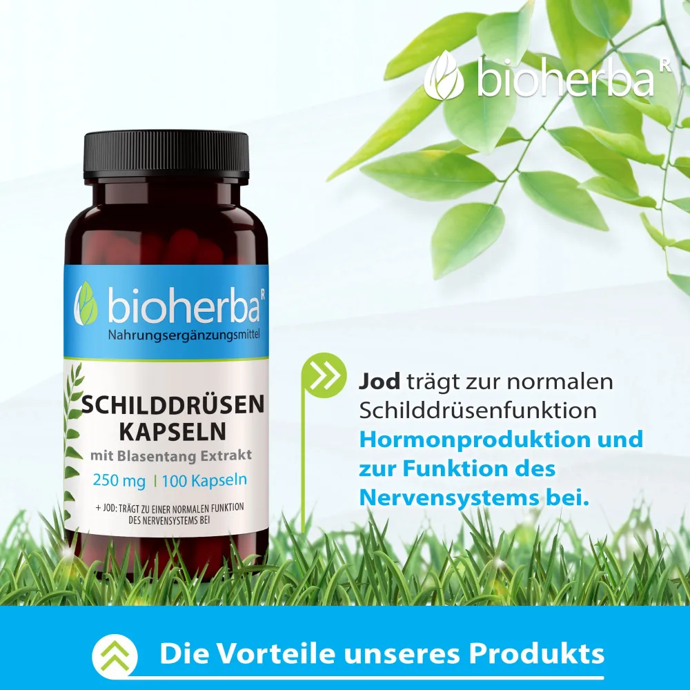 Bioherba Schilddrüsen Kapseln mit Blasentang Extrakt> Outlet