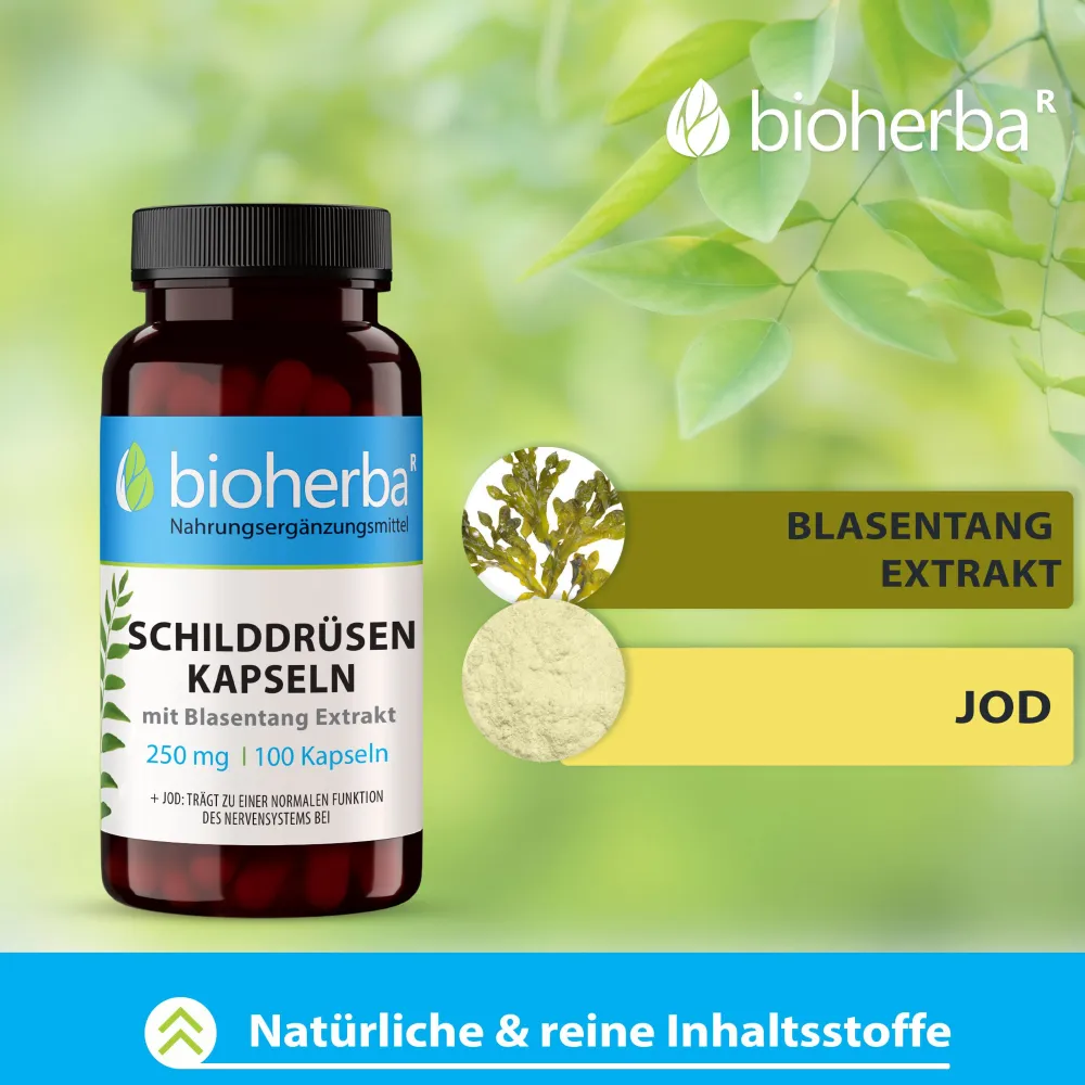 Bioherba Schilddrüsen Kapseln mit Blasentang Extrakt> Outlet