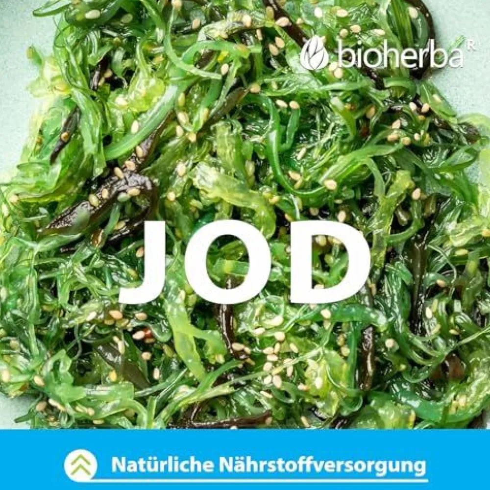 Bioherba Schilddrüsen Kapseln mit Blasentang Extrakt> Outlet