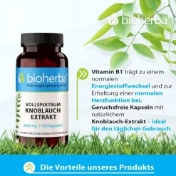 Bioherba Vollspektrum Knoblauch Extrakt Kapseln| Outlet