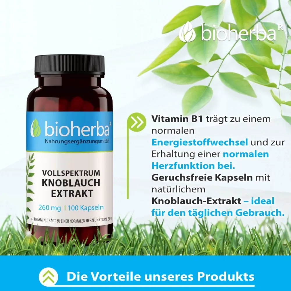 Bioherba Vollspektrum Knoblauch Extrakt Kapseln| Outlet
