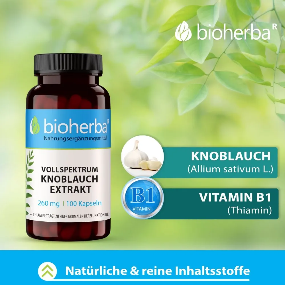 Bioherba Vollspektrum Knoblauch Extrakt Kapseln| Outlet