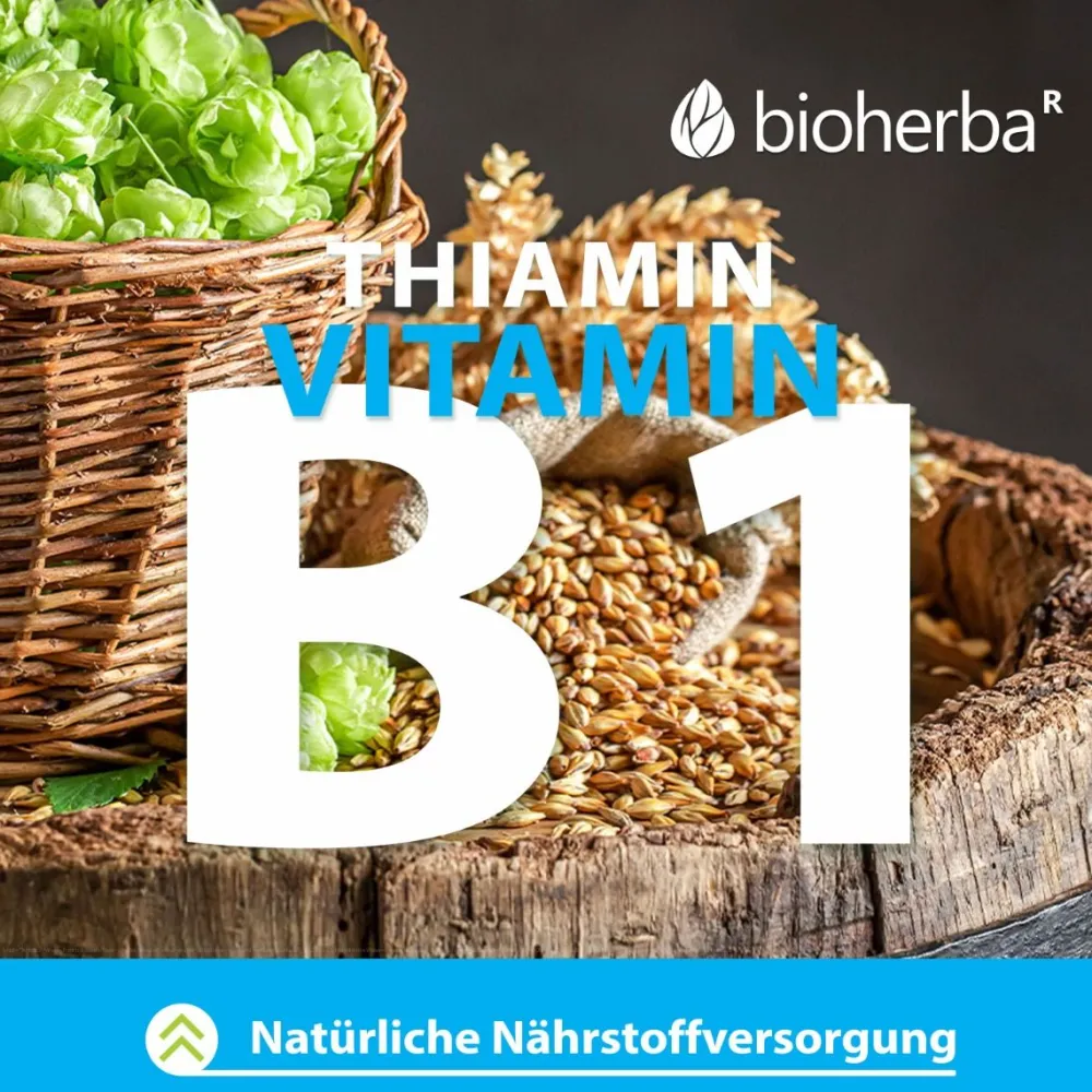Bioherba Vollspektrum Knoblauch Extrakt Kapseln| Outlet