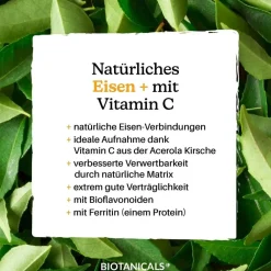 BIOTANICALS EISEN+ Curryblatt & Acerola Kirsche| Hot