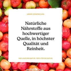 BIOTANICALS EISEN+ Curryblatt & Acerola Kirsche| Hot