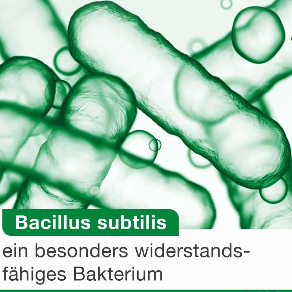 bioticLoges subtilis – 3-fach clever mit Bacillus subtilis, Akazienfasern und Calcium zur natürlichen Unterstützung des Darms| Sale