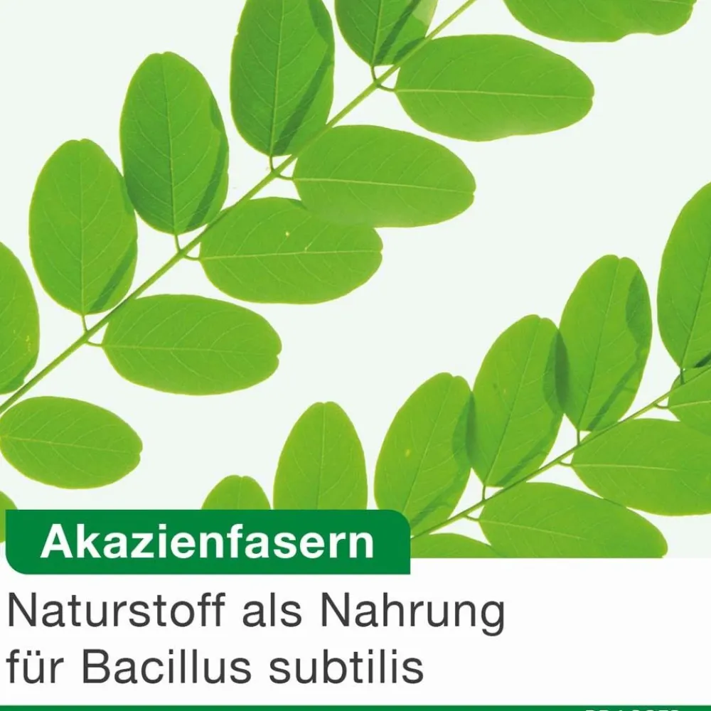 bioticLoges subtilis – 3-fach clever mit Bacillus subtilis, Akazienfasern und Calcium zur natürlichen Unterstützung des Darms| Sale