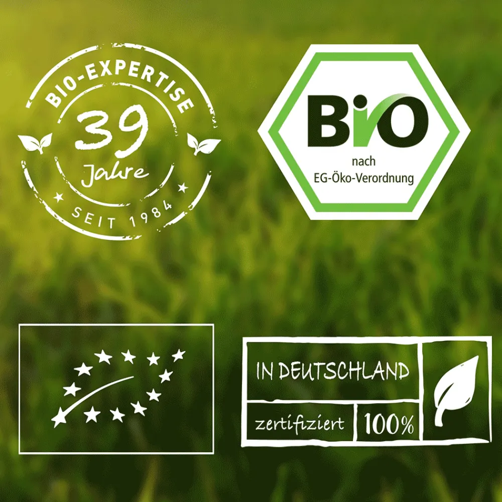 Assam No.1 TGFBOP Schwarztee Bio>Biotiva Discount