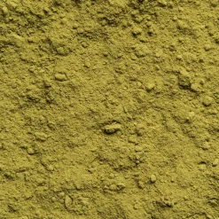 Matcha Tee Bio|Biotiva