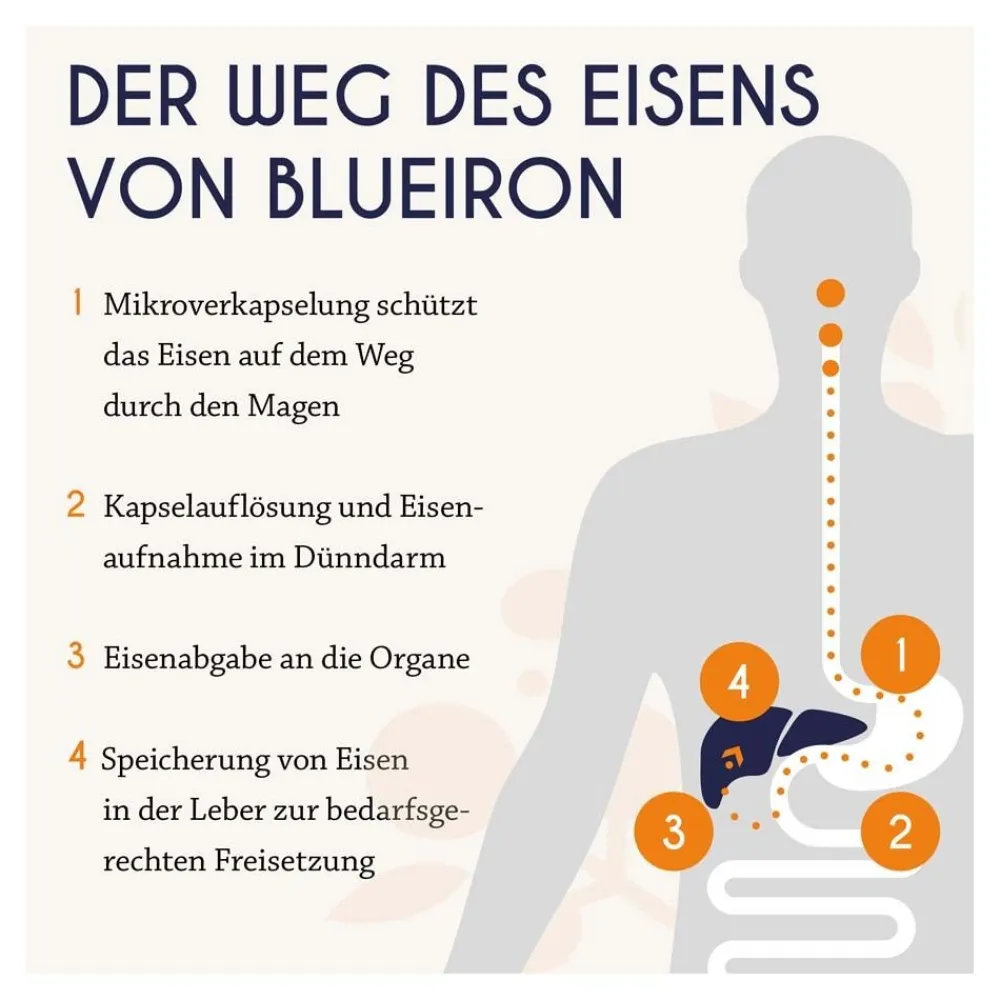 BlueIron Eisen Liquid| Outlet