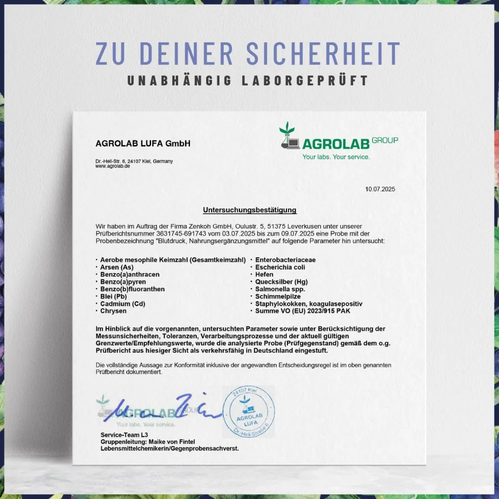 Blutdruck OPC Komplex Traubenkern Extrakt 90 vegane Kapseln hochdosiert Q10 ®>NATURTREU Sale