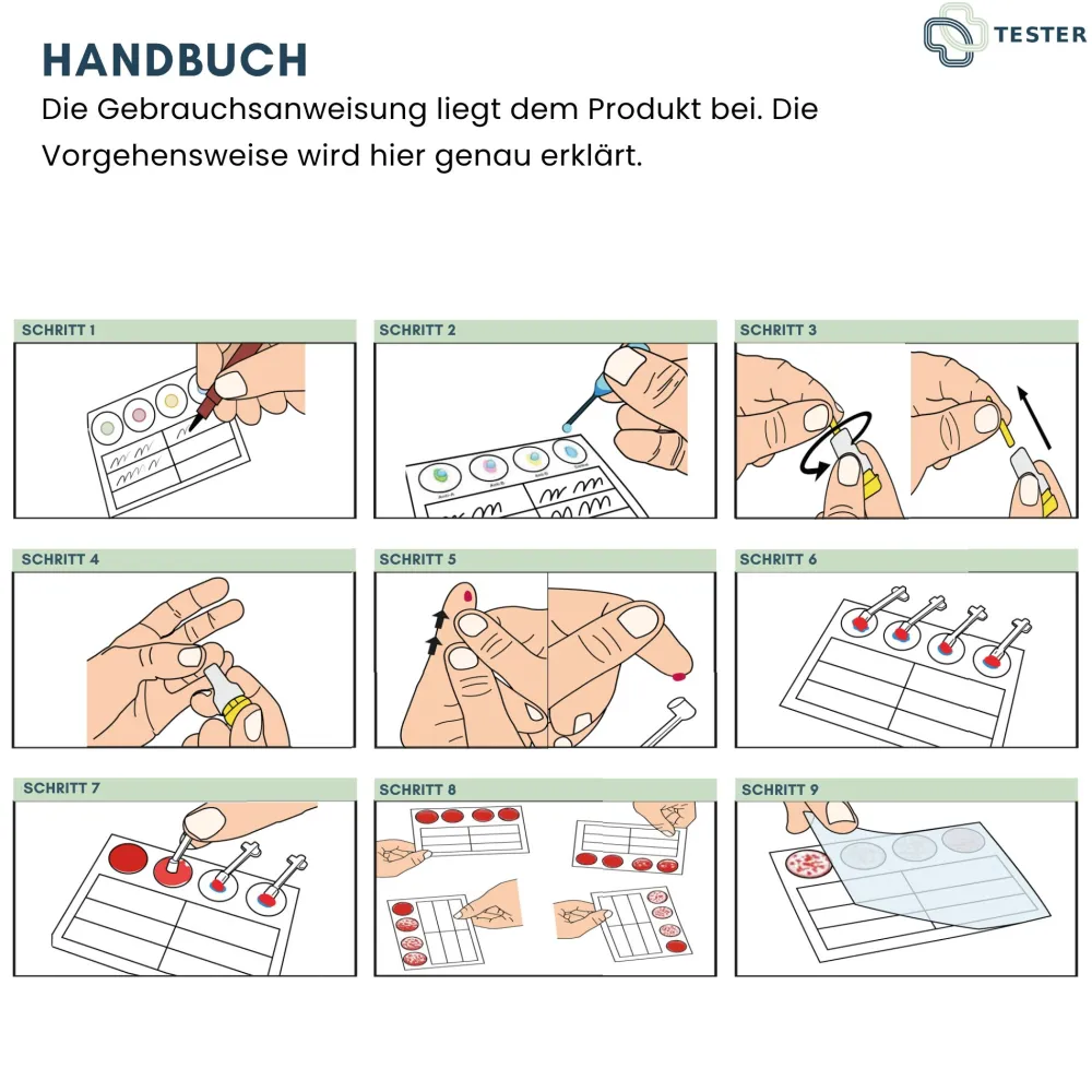 Blutgruppen Schnelltest - Blutgruppe Test - Blutgruppen Bestimmen Schnelltest - The>TESTER